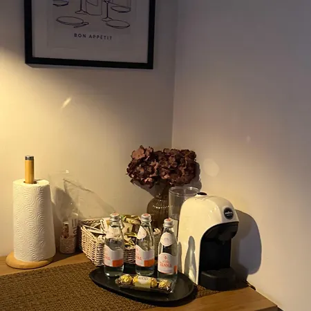 Aparthotel Govi Al Pieno Centro Di Tirana