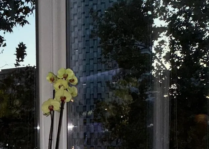 Govi Al Pieno Centro Di 4* Tirana