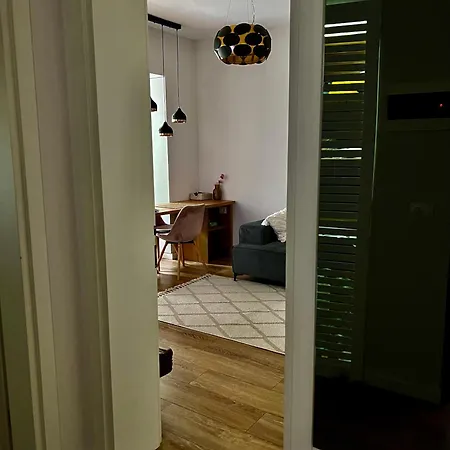 Govi Al Pieno Centro Di Tirana